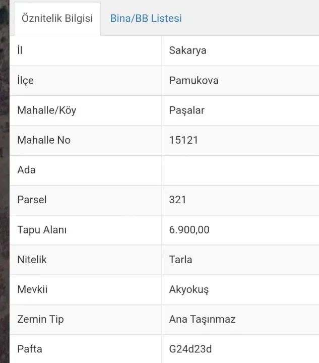 PAŞALAR'DA SATILIK ZEYTİNLİK