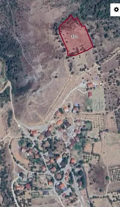 PAŞALAR'DA SATILIK ZEYTİNLİK