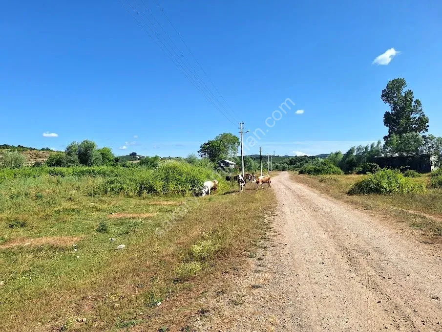 KARASU KUZULUK MAHALLESİNDE SATILIK 7.170 M2 TARLA