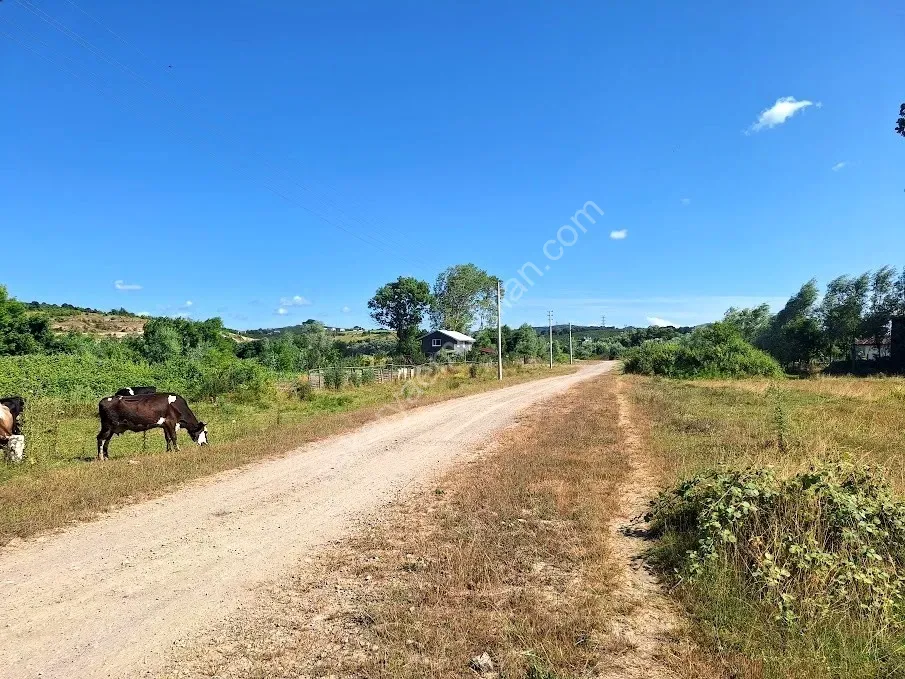 KARASU KUZULUK MAHALLESİNDE SATILIK 7.170 M2 TARLA