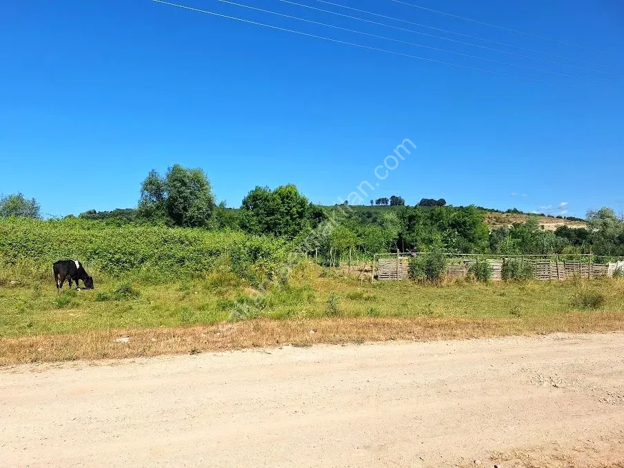 KARASU KUZULUK MAHALLESİNDE SATILIK 7.170 M2 TARLA