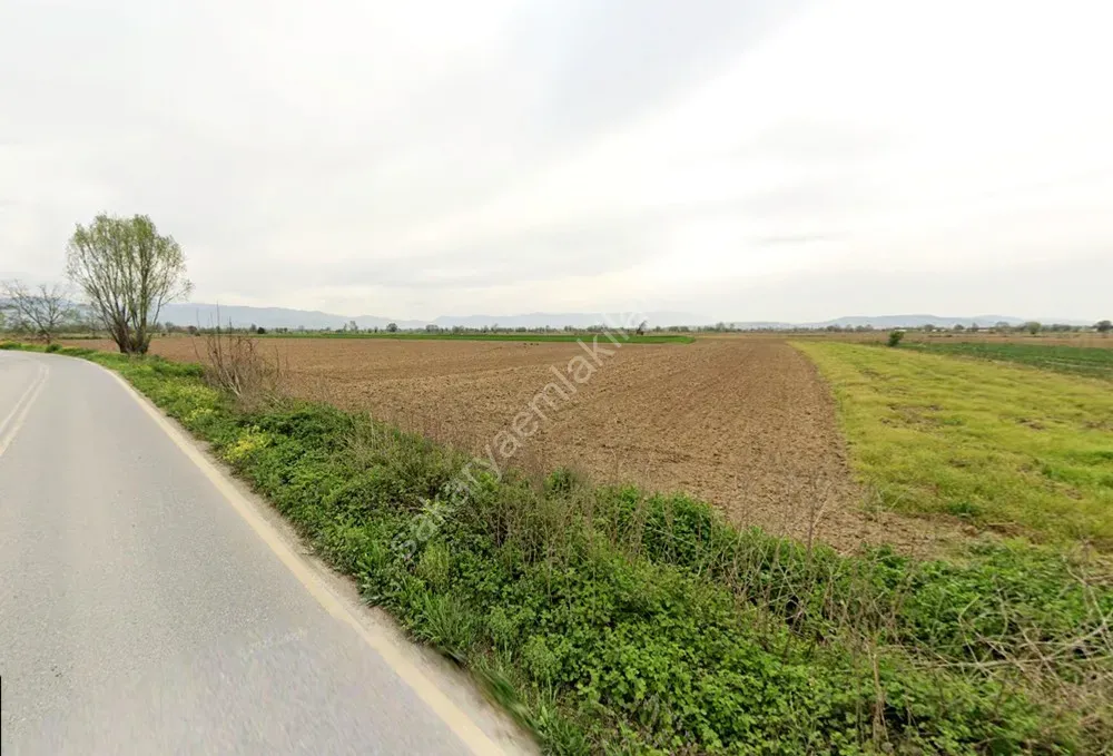 ADAPAZARI ÇÖKEKLER MAHALLESİNDE SATILIK TARLA