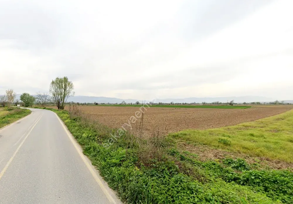 ADAPAZARI ÇÖKEKLER MAHALLESİNDE SATILIK TARLA