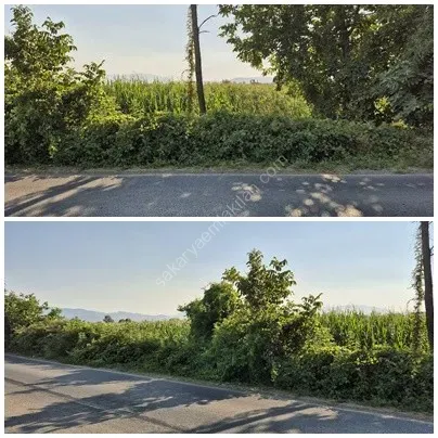 ADAPAZARI ÇÖKEKLER MAHALLESİNDE SATILIK TARLA