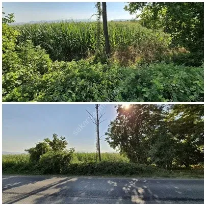 ADAPAZARI ÇÖKEKLER MAHALLESİNDE SATILIK TARLA