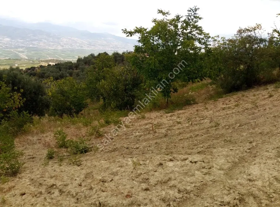 GEYVE CECELER KÖYÜNDE 2122 m² FUL MANZARALI, KONTEYNER VE TİNY HOUSE İÇİN İDEAL ARAZİ