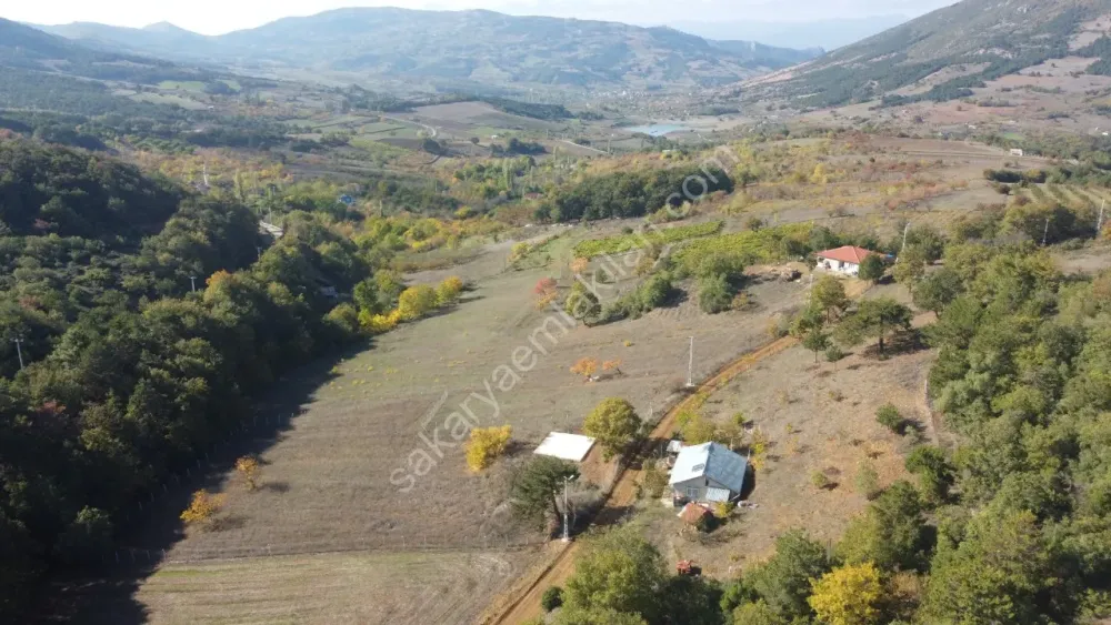 SAKARYA GEYVE GÜNHOŞLAR DA ACİL SATILIK 16 DÖNÜM ARAZİ