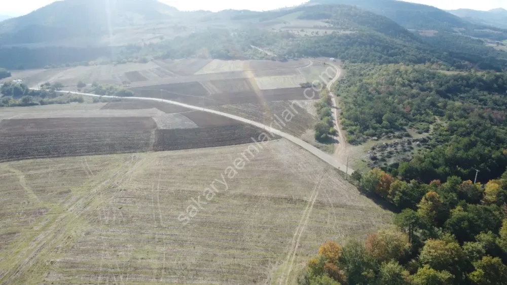 SAKARYA GEYVE GÜNHOŞLAR DA ACİL SATILIK 16 DÖNÜM ARAZİ