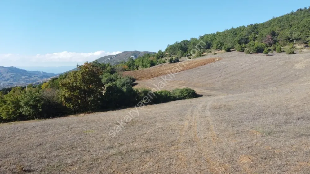 SAKARYA GEYVE GÜNHOŞLAR DA ACİL SATILIK 16 DÖNÜM ARAZİ