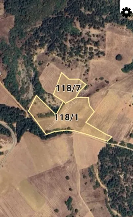 SAKARYA GEYVE GÜNHOŞLAR DA ACİL SATILIK 16 DÖNÜM ARAZİ