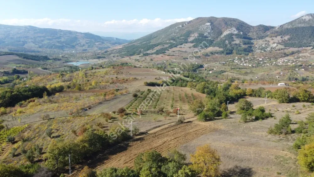 SAKARYA GEYVE GÜNHOŞLAR DA ACİL SATILIK 16 DÖNÜM ARAZİ