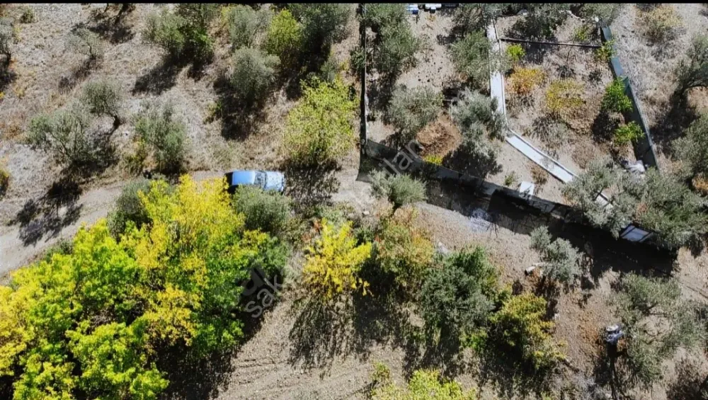 BAKMADAN GEÇMEYİN....DOĞA İLE BAŞBAŞA 1.161M2 FIRSAT ZEYTİNLİK