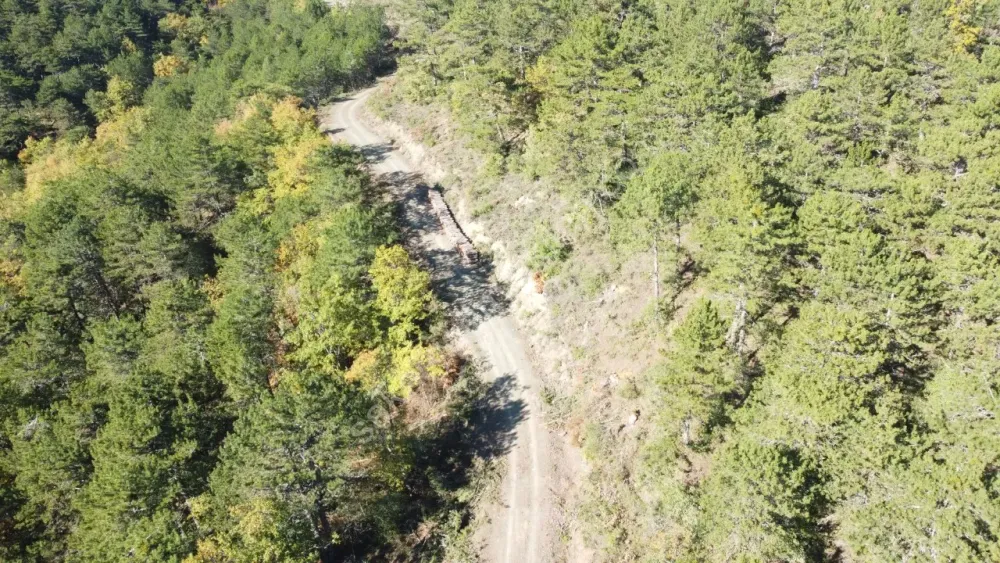 PAMUKOVA KADIKÖY MAH.8069 M2 FIRSAT ARAZİ