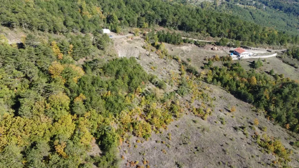 PAMUKOVA KADIKÖY MAH.8069 M2 FIRSAT ARAZİ