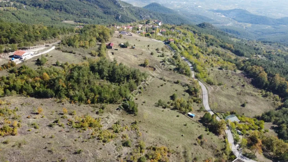 PAMUKOVA KADIKÖY MAH.8069 M2 FIRSAT ARAZİ