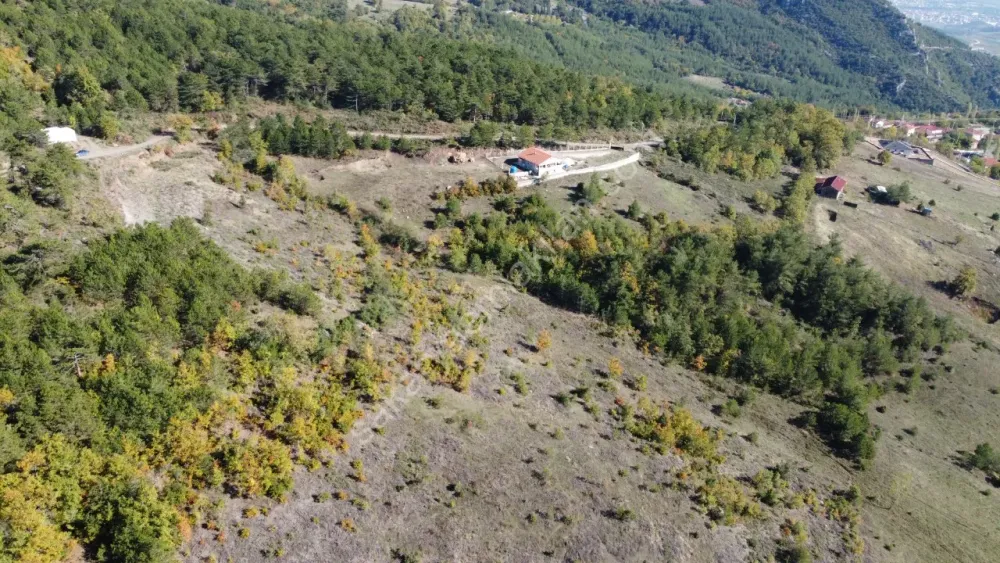 PAMUKOVA KADIKÖY MAH.8069 M2 FIRSAT ARAZİ