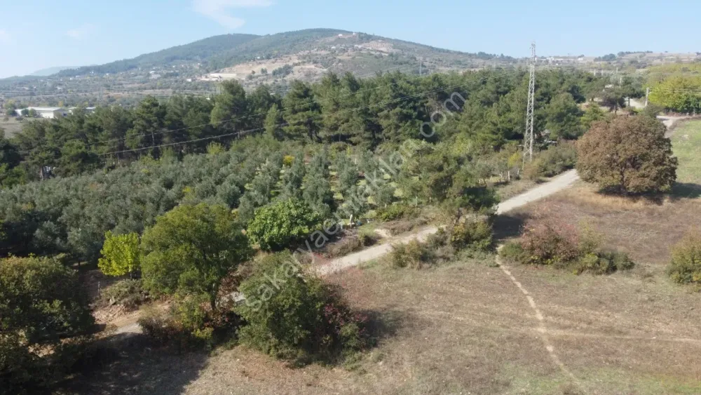 SAKARYA GEYVE DÜZAKÇAŞEHİR MAH.350 M2 KONUT İMARLI ARSA
