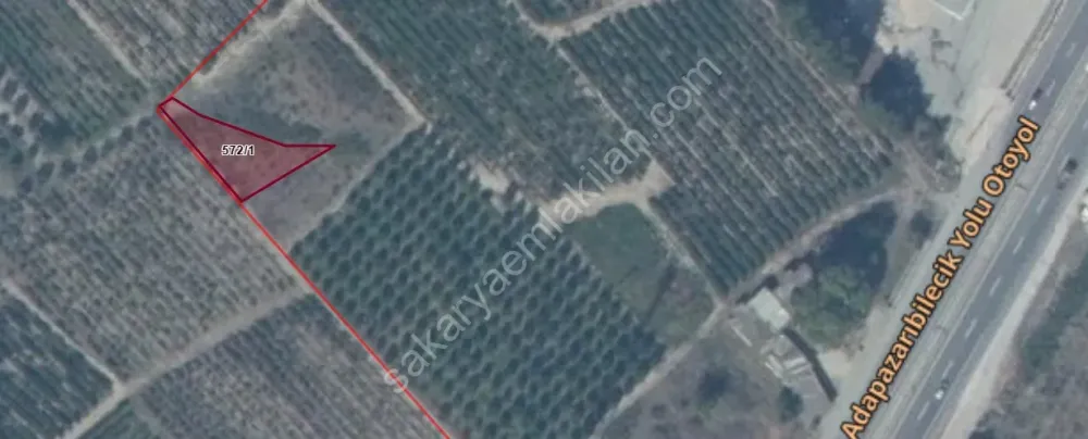 PAMUKOVA'DA  SATILIK TARLA