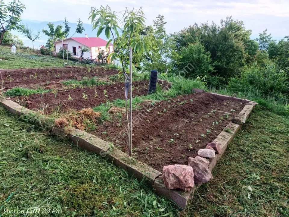 SAKARYA PAMUKOVA BAKACAK MAH.SATILIK KÖY EVİ
