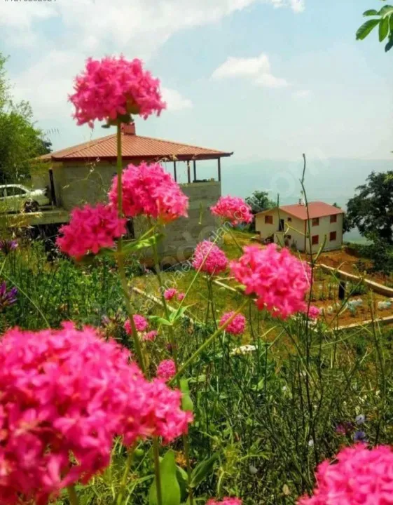 SAKARYA PAMUKOVA BAKACAK MAH.SATILIK KÖY EVİ