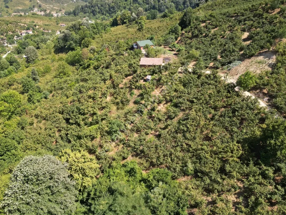 Hem Eviniz, Hem Bahçeniz Olsun Sakaryada Kaçmaz Fırsat