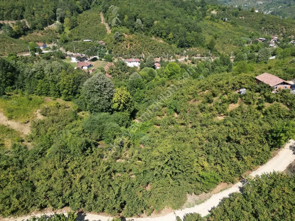 Hem Eviniz, Hem Bahçeniz Olsun Sakaryada Kaçmaz Fırsat