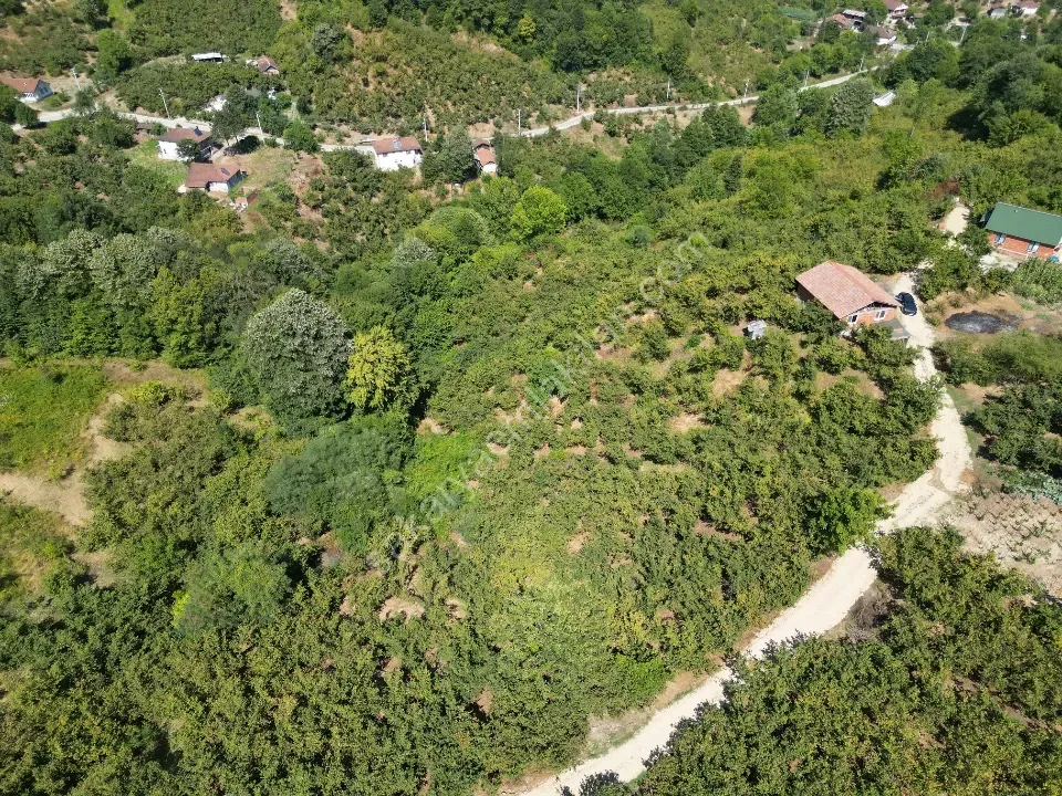 Hem Eviniz, Hem Bahçeniz Olsun Sakaryada Kaçmaz Fırsat