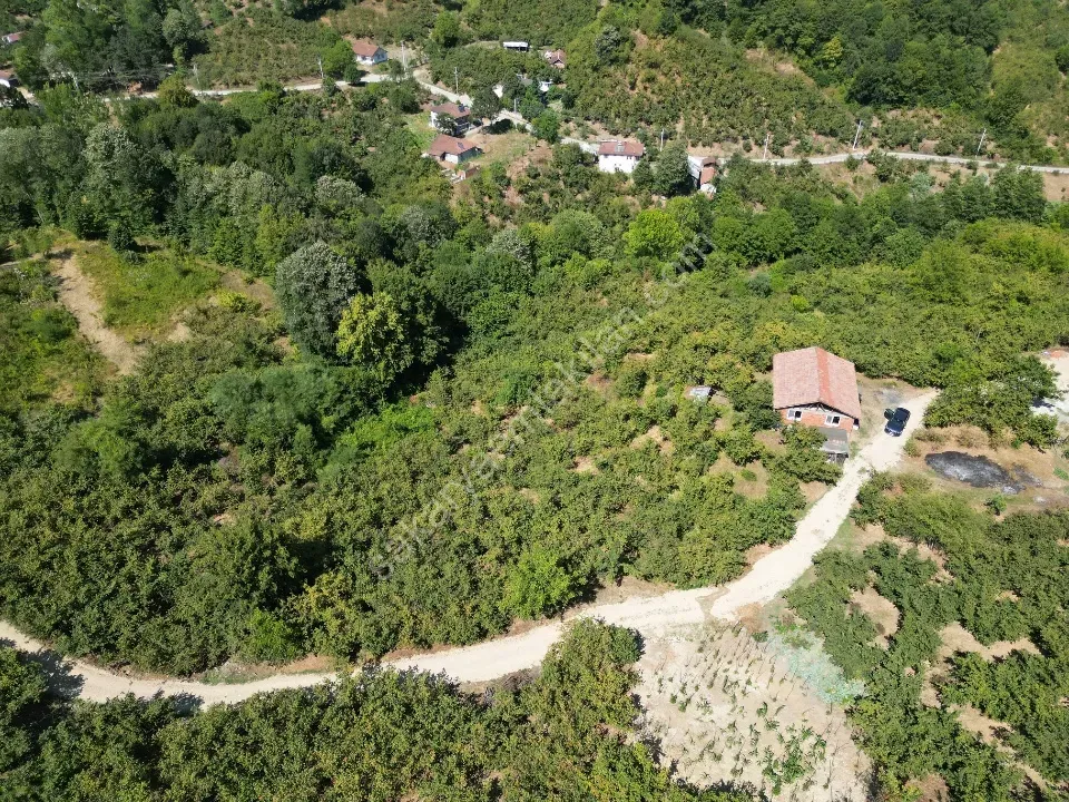 Hem Eviniz, Hem Bahçeniz Olsun Sakaryada Kaçmaz Fırsat