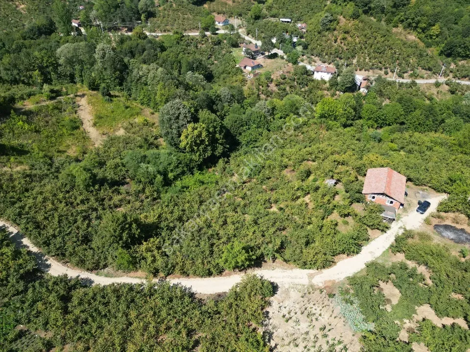 Hem Eviniz, Hem Bahçeniz Olsun Sakaryada Kaçmaz Fırsat