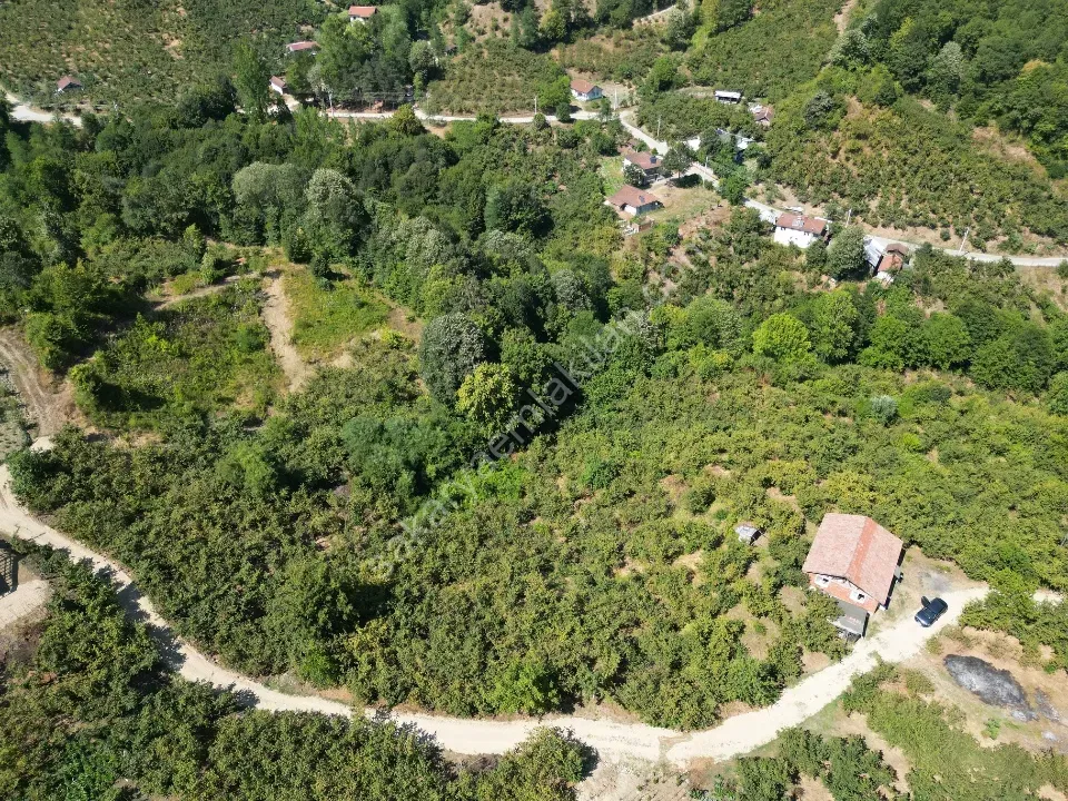 Hem Eviniz, Hem Bahçeniz Olsun Sakaryada Kaçmaz Fırsat