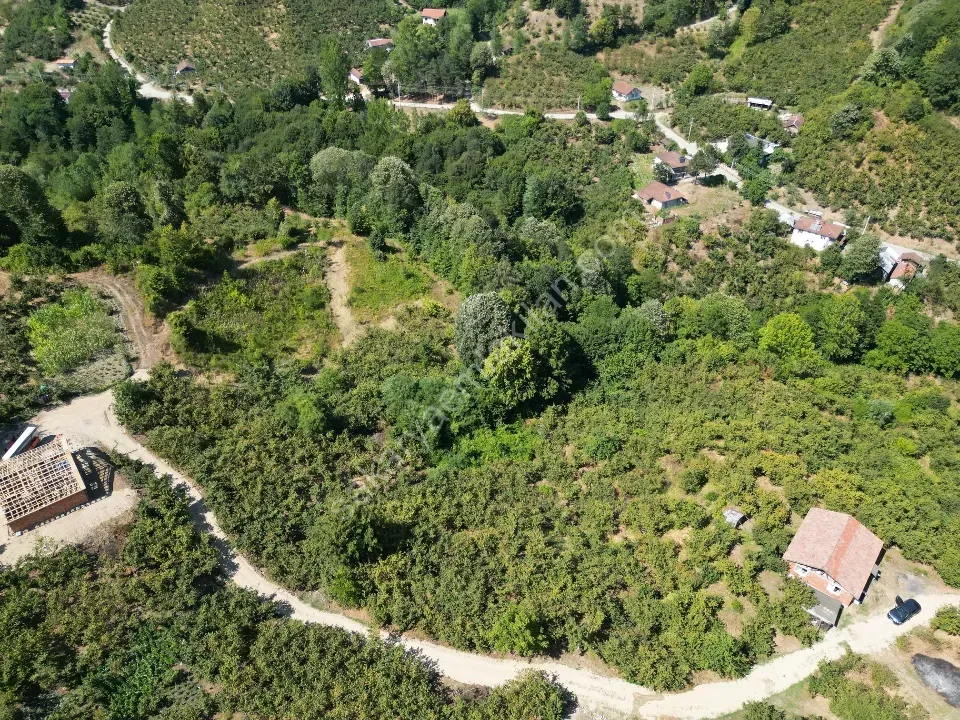 Hem Eviniz, Hem Bahçeniz Olsun Sakaryada Kaçmaz Fırsat