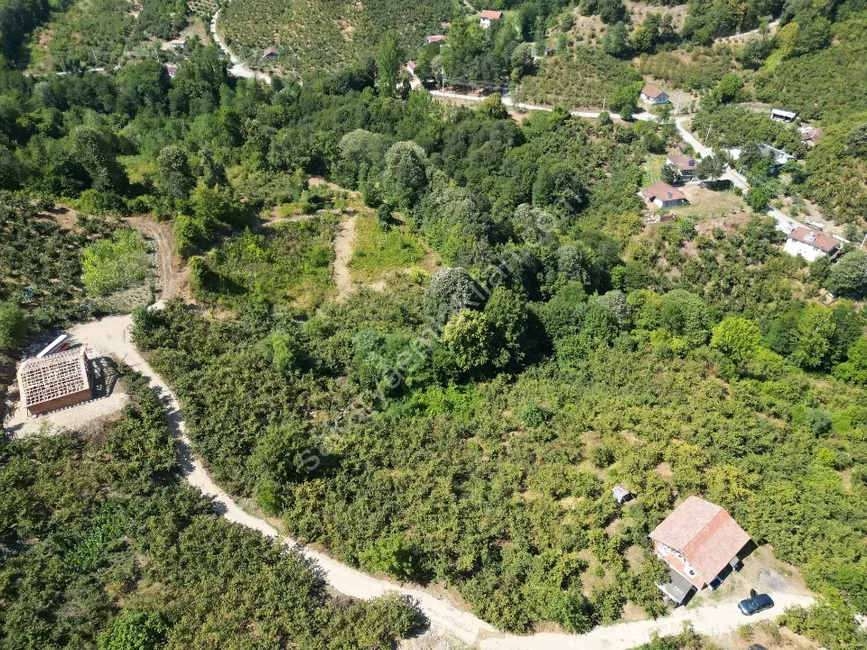 Hem Eviniz, Hem Bahçeniz Olsun Sakaryada Kaçmaz Fırsat