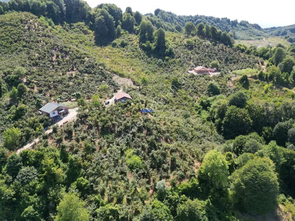 Hem Eviniz, Hem Bahçeniz Olsun Sakaryada Kaçmaz Fırsat