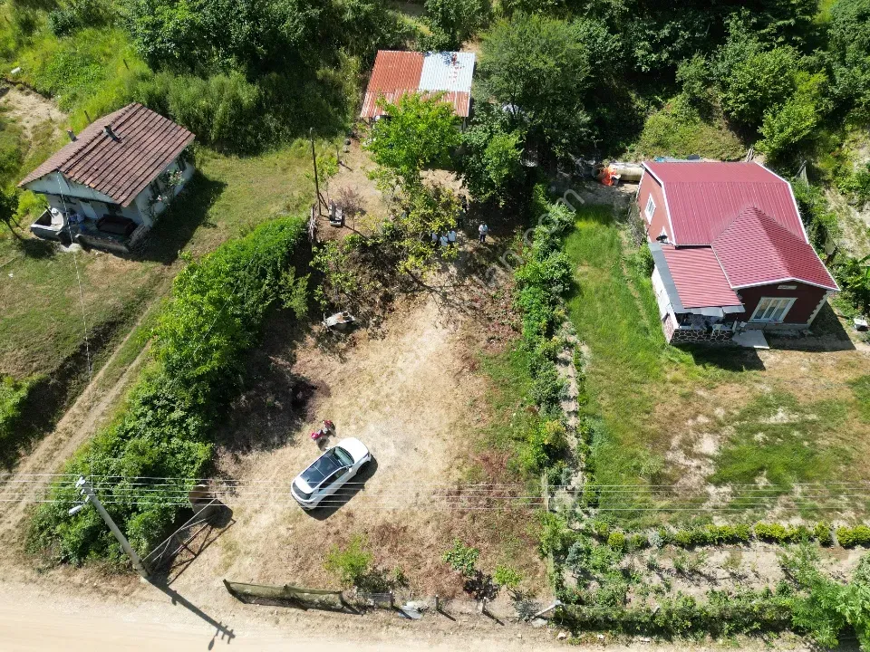 Sessizlik ve Doğa Arayanlara Özel Müstakil Yaşam Fırsatı