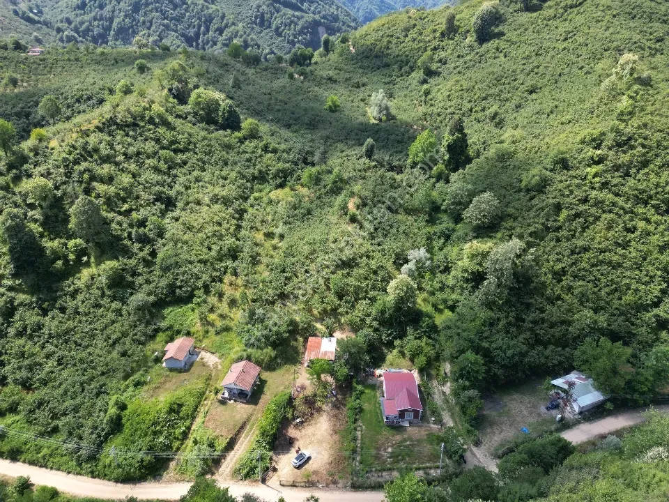 Sessizlik ve Doğa Arayanlara Özel Müstakil Yaşam Fırsatı