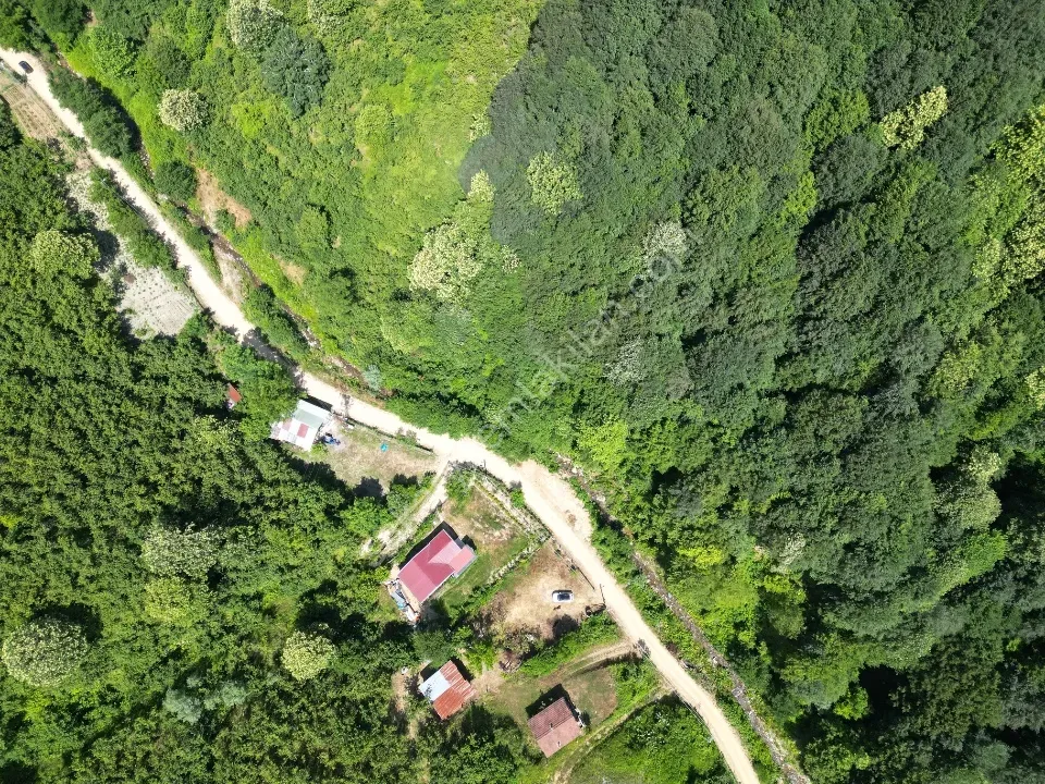 Sessizlik ve Doğa Arayanlara Özel Müstakil Yaşam Fırsatı