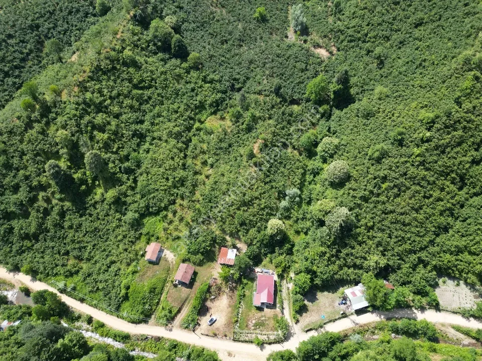 Sessizlik ve Doğa Arayanlara Özel Müstakil Yaşam Fırsatı