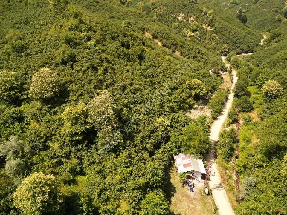 Sessizlik ve Doğa Arayanlara Özel Müstakil Yaşam Fırsatı