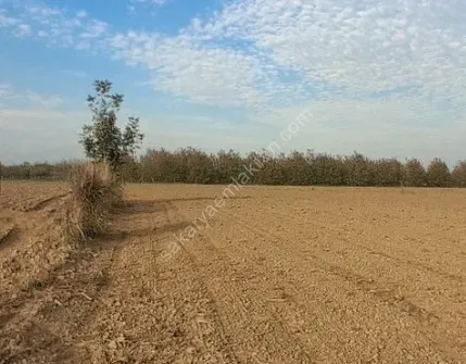 HACIKÖY'DE SATILIK FIRSAT  TARLA