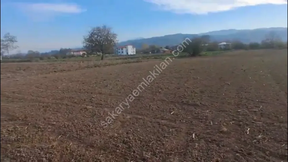 HACIKÖY'DE SATILIK FIRSAT  TARLA