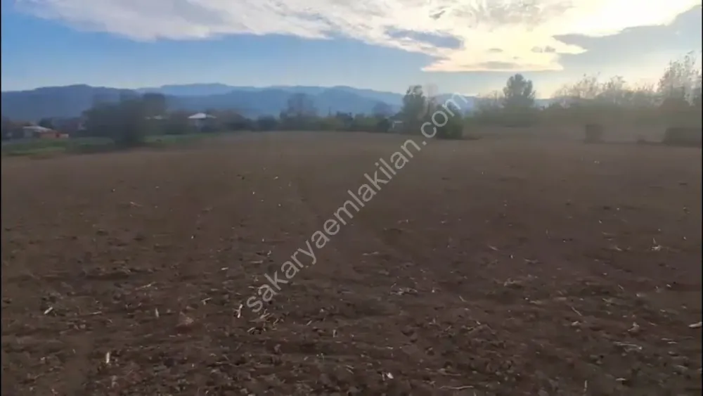 HACIKÖY'DE SATILIK FIRSAT  TARLA