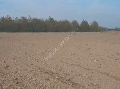 HACIKÖY'DE SATILIK FIRSAT  TARLA