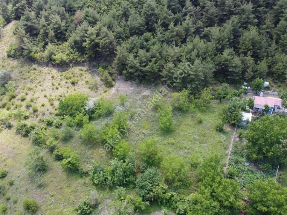 GEYVE OKUL MAH. MERKEZE YAKIN 1052 m² MANZARALI ETRAFI ÇEVRİLİ TAM HOBİ BAHÇELİK