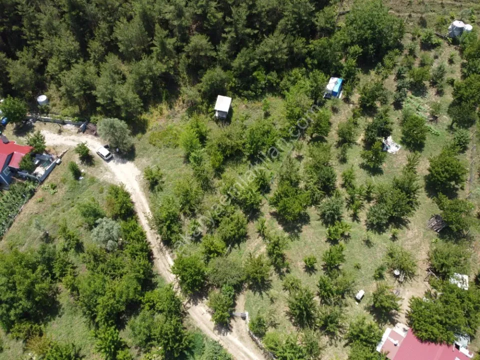 GEYVE OKUL MAH. MERKEZE YAKIN 1052 m² MANZARALI ETRAFI ÇEVRİLİ TAM HOBİ BAHÇELİK