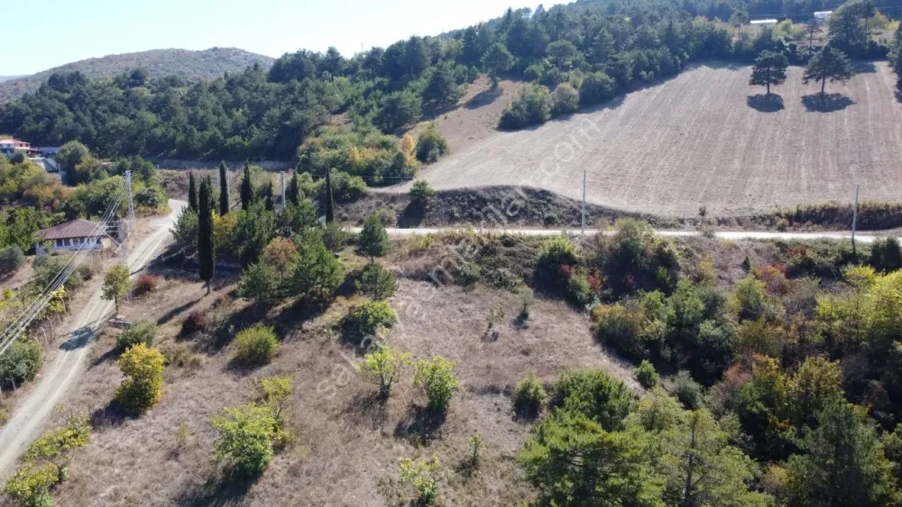 GEYVE CECELER KÖYÜNDE 508 m² ASFALTA CEPHE ELEKTRİK SU DİBİNDE HOBİ BAHÇESİ