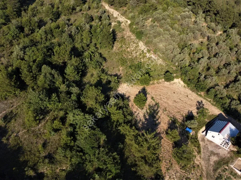 GEYVE KÖPRÜBAŞI MAHALLESİNDE 1127 m² MANZARALI TİNY HOUSE VE PREFABRİK İÇİN KONUMDA