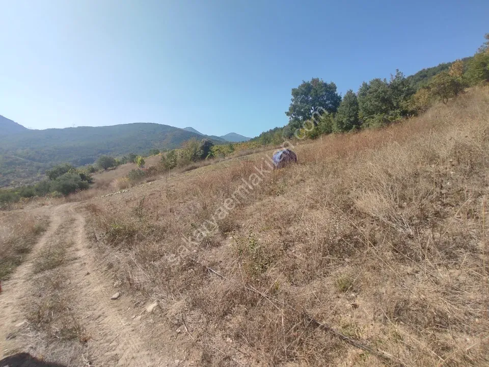 GEYVE ALİFUATPAŞA MERKEZE 3 KM KONTEYNER İÇİN İDEAL 153 m² MANZARALI YOLU SUYU VAR