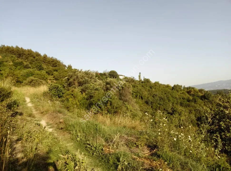 GEYVE ALİFUATPAŞA MERKEZE 3 KM KONTEYNER İÇİN İDEAL 153 m² MANZARALI YOLU SUYU VAR