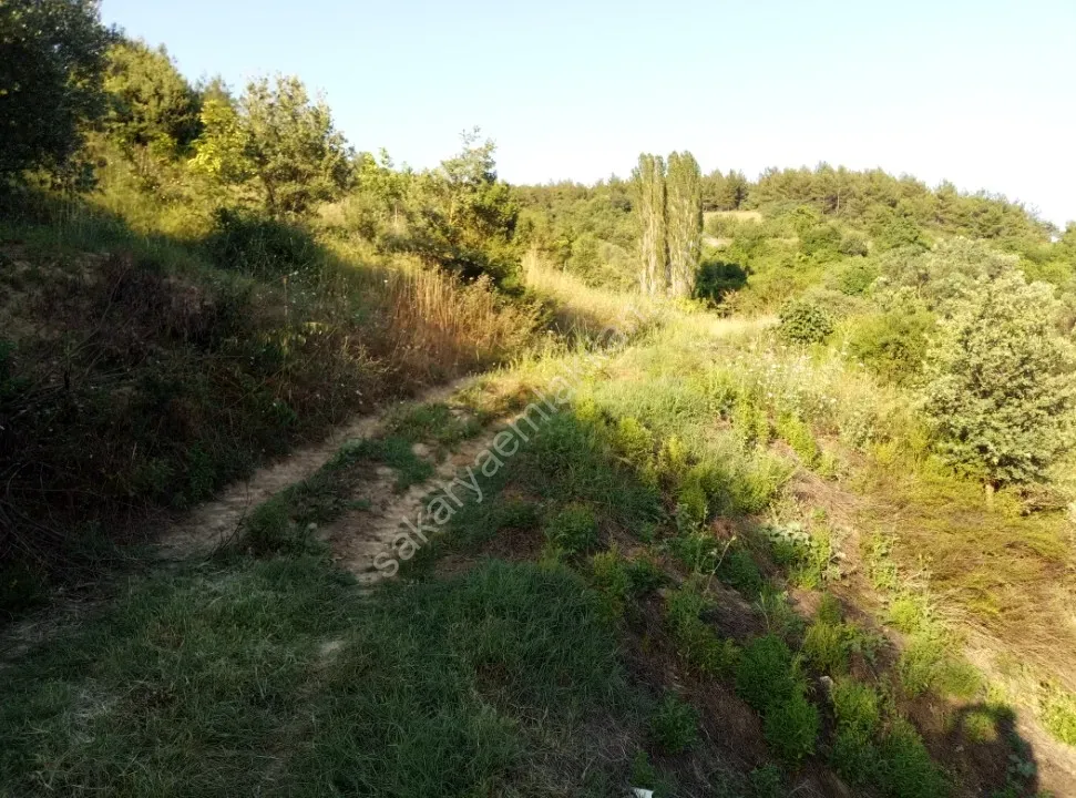 GEYVE ALİFUATPAŞA MERKEZE 3 KM KONTEYNER İÇİN İDEAL 153 m² MANZARALI YOLU SUYU VAR