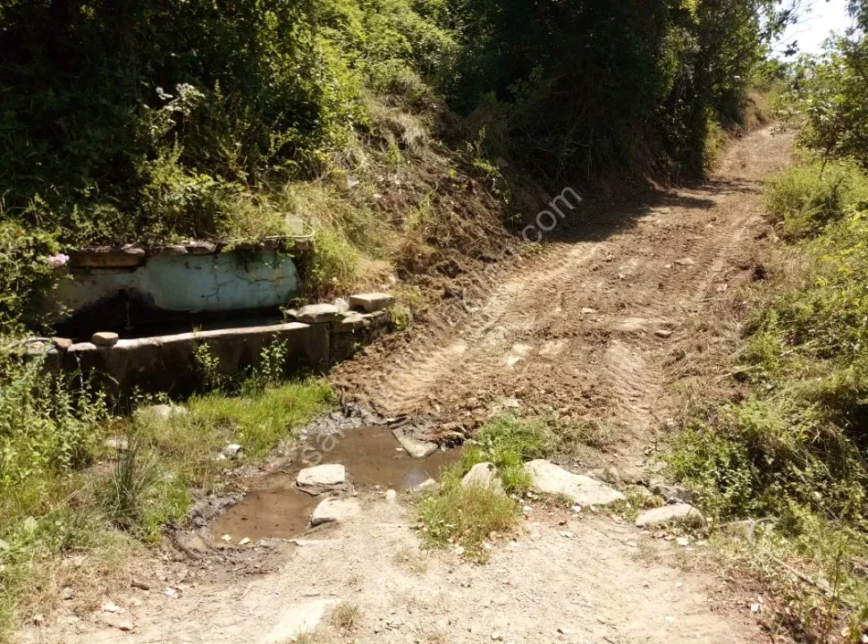 GEYVE ALİFUATPAŞA MERKEZE 3 KM KONTEYNER İÇİN İDEAL 153 m² MANZARALI YOLU SUYU VAR